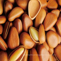 cheapest place to buy pine nuts